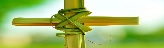 Palm Crosses